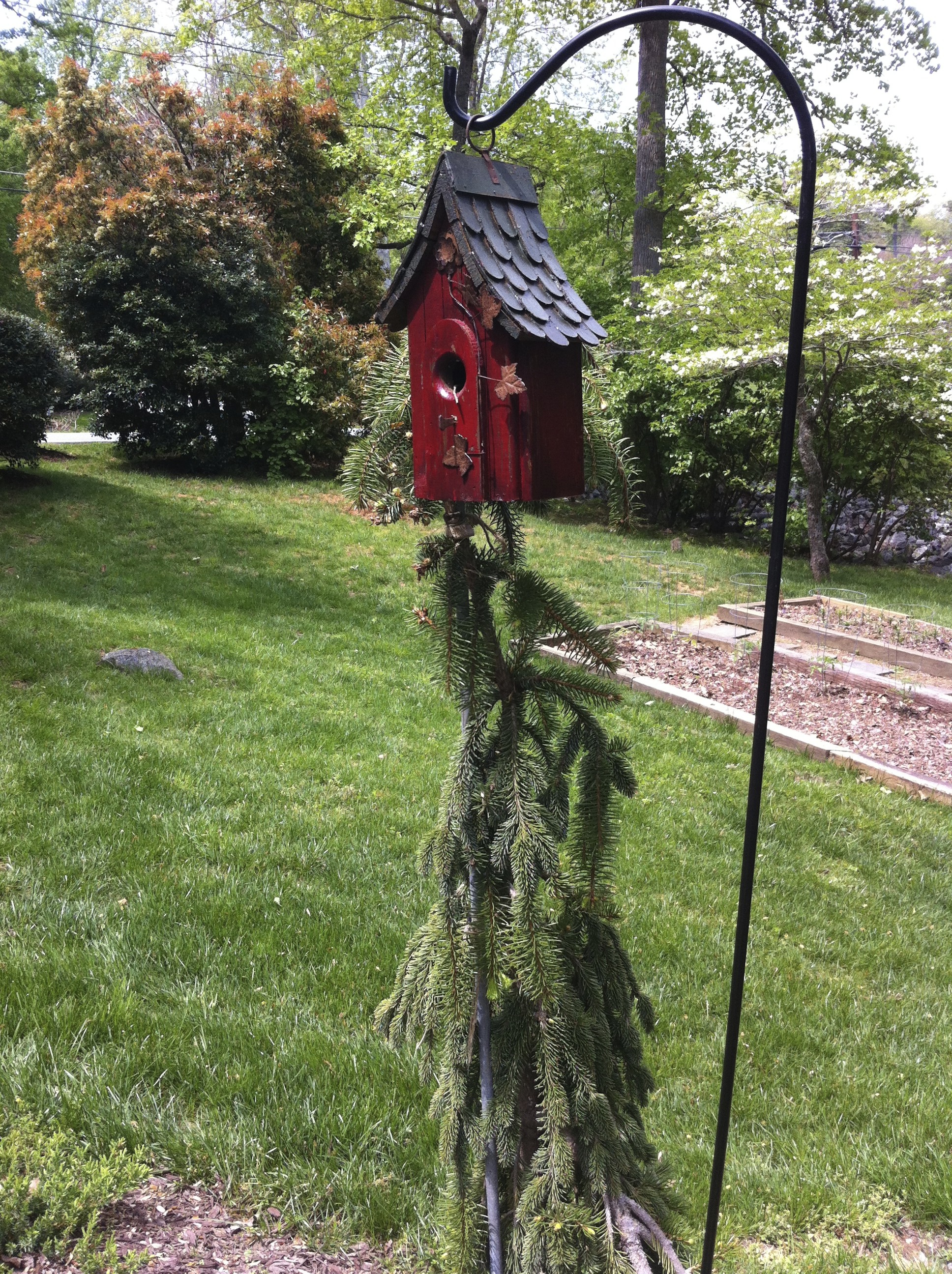 Keep Snakes Out of Your Bird House! - Growing In My ...