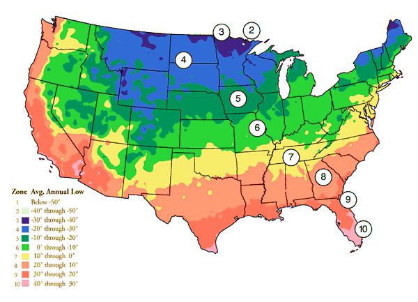 Hardiness Zones - Growing In My GardenGrowing In My Garden