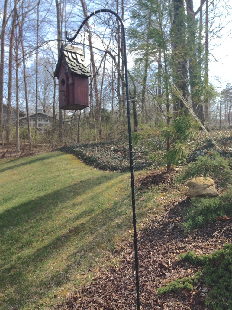 Keep Snakes Out of Your Bird House! Keep Snakes Out of Your Bird House!